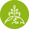 Carbon footprint