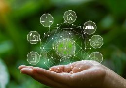 ISO 14001 Consultancy