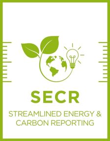 Streamlined energy and carbon reporting