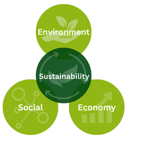 Sustainability Infographic