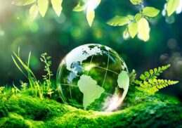 Nature with a glass crystal ball to represent environmental ISO certifications